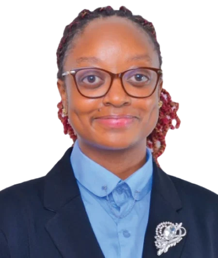 Image hover effect image