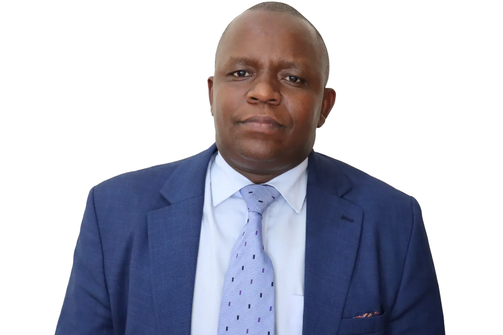 Image hover effect image