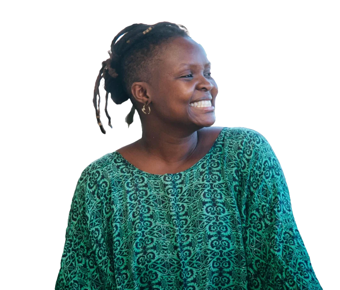 Image hover effect image