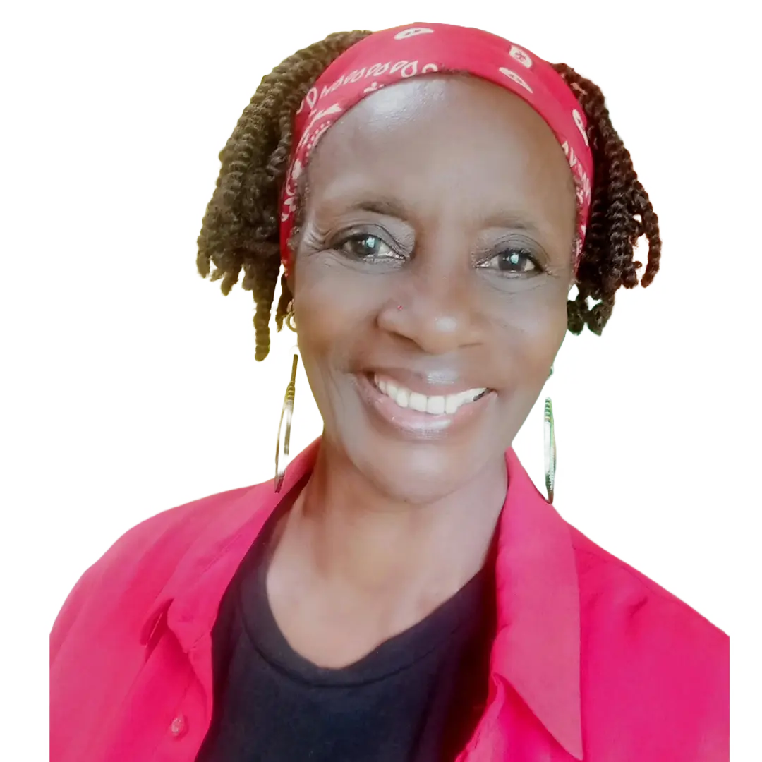 Image hover effect image