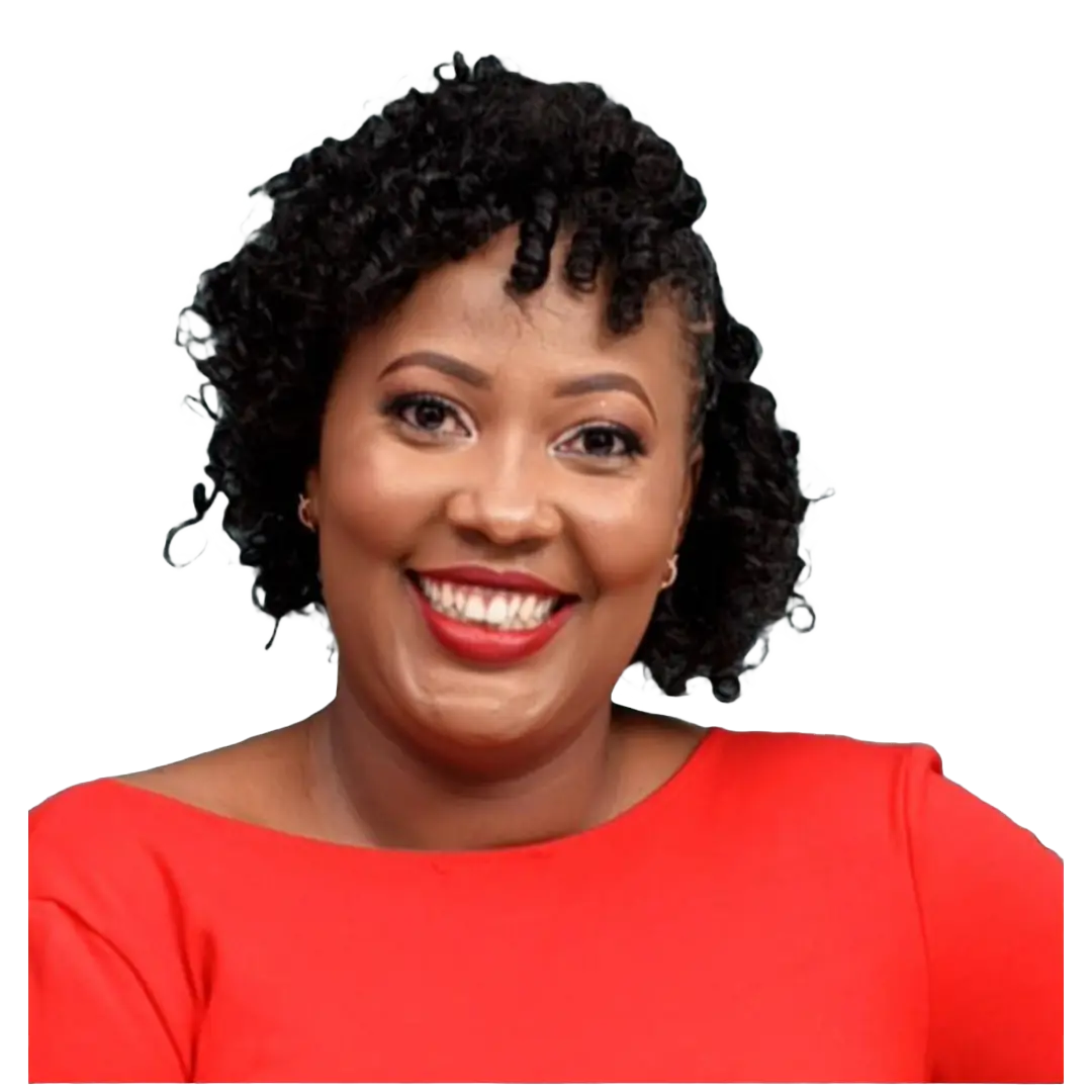 Image hover effect image